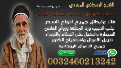 شيخ روحاني في فنلندا